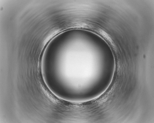 X0000088051234200705111258