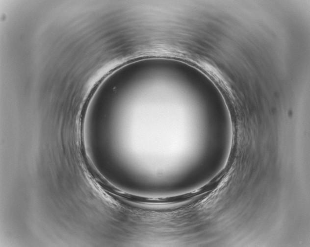 X0000088051238200705111259