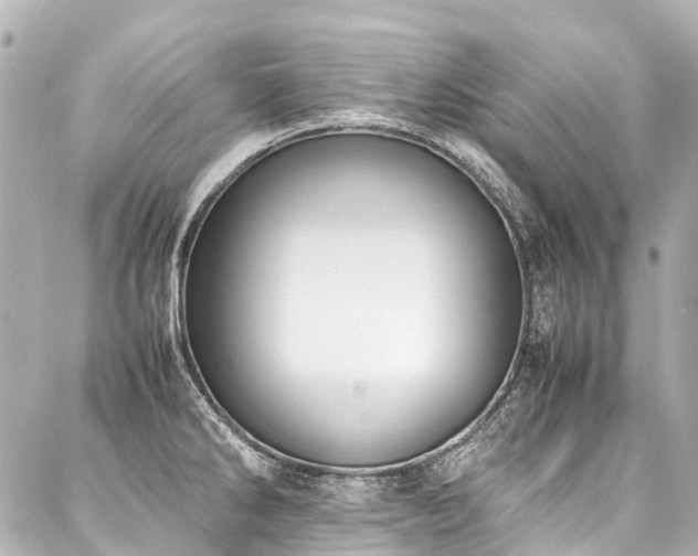 X0000088051286200705111257