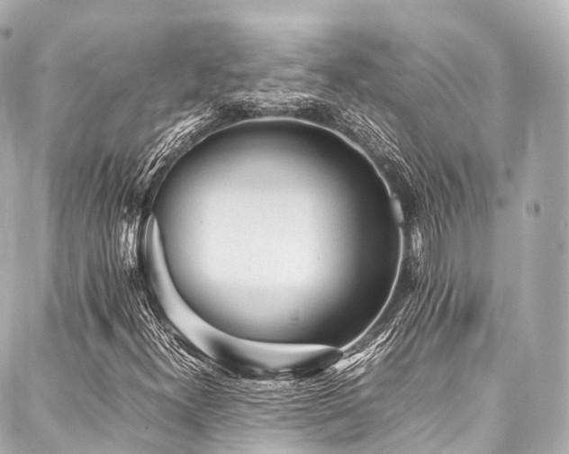 X0000088051300200705111256