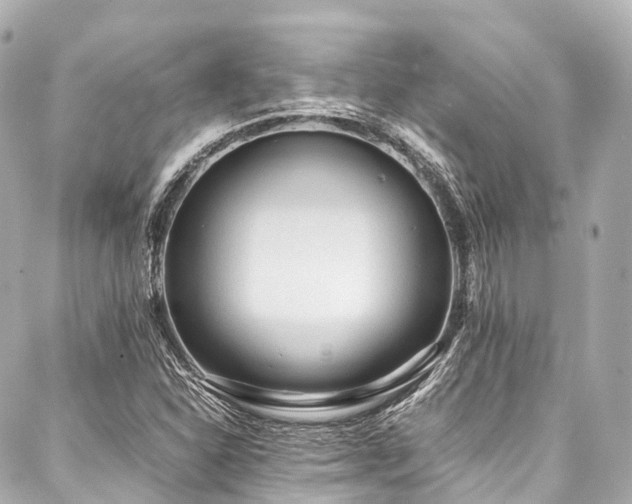 X0000088051310200705111257