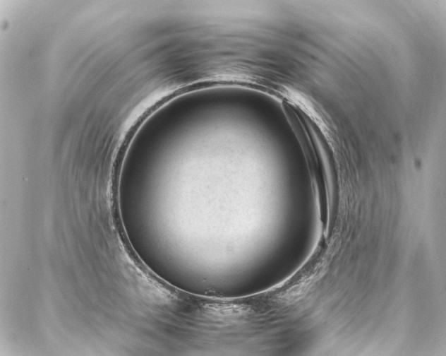 X0000088051331200705111257