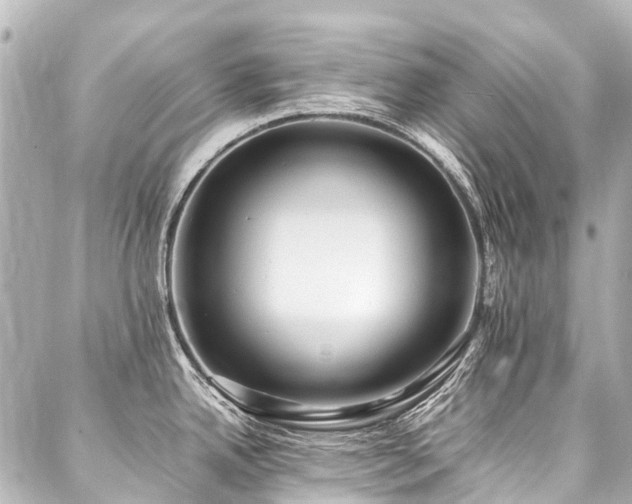 X0000088051342200705111257