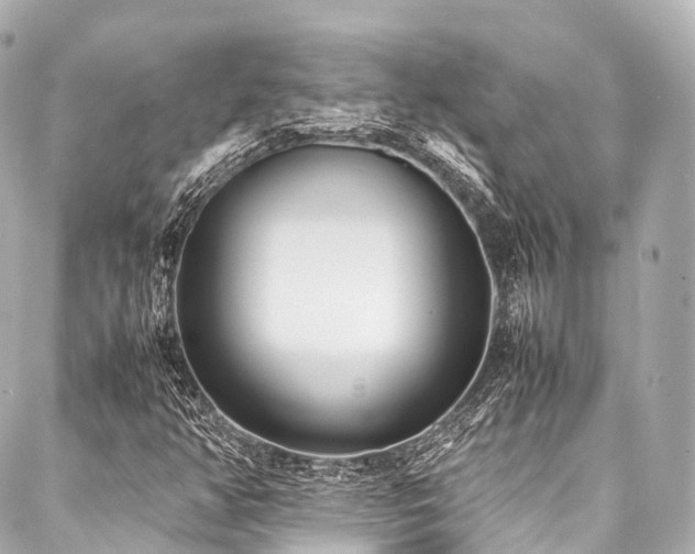 X0000088051350200705111256