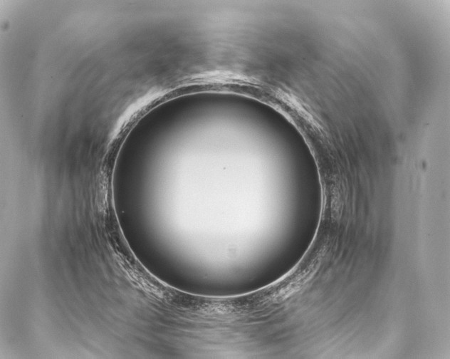 X0000088051358200705111256