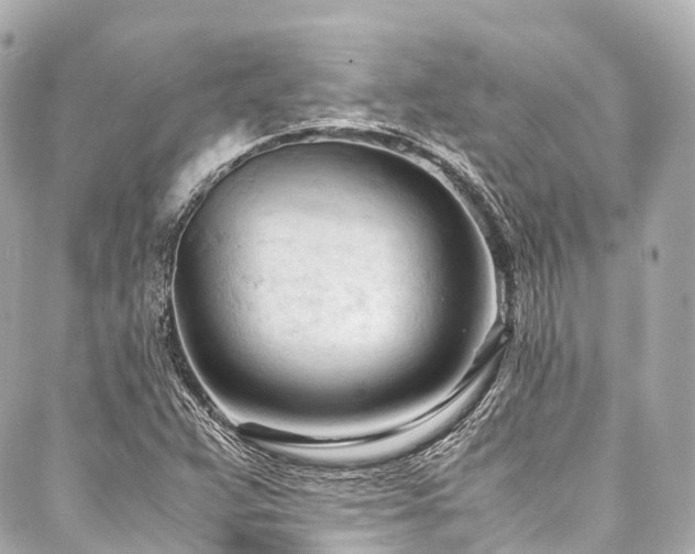 X0000088051359200705111256