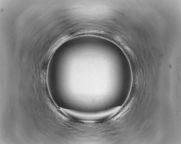 X0000088051369200705111256