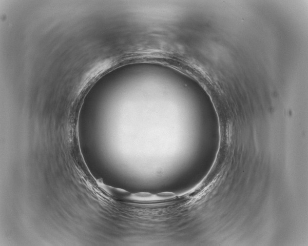 X0000088051405200705111255