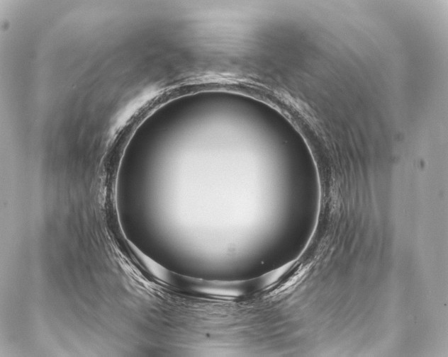 X0000088051406200705111255
