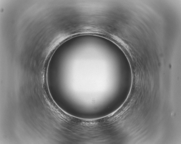X0000088051415200705111255