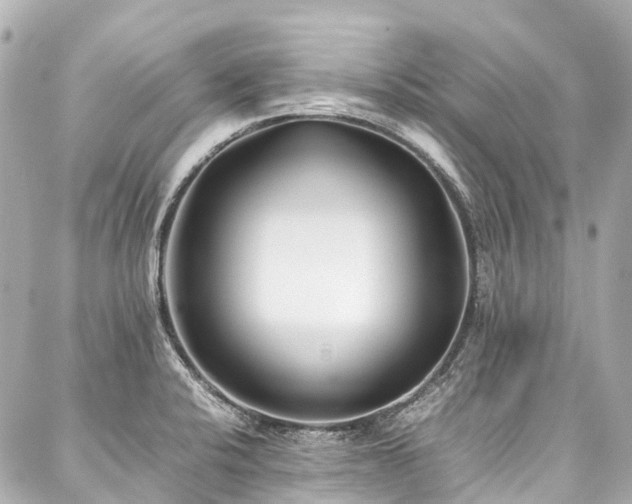 X0000088051424200705111255