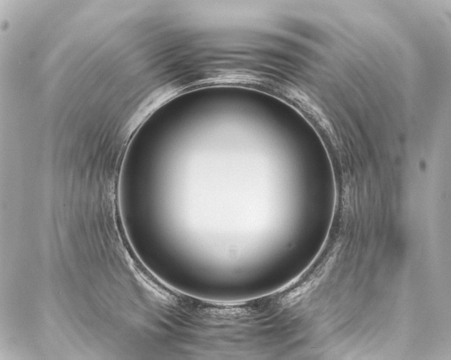 X0000088051425200705111255
