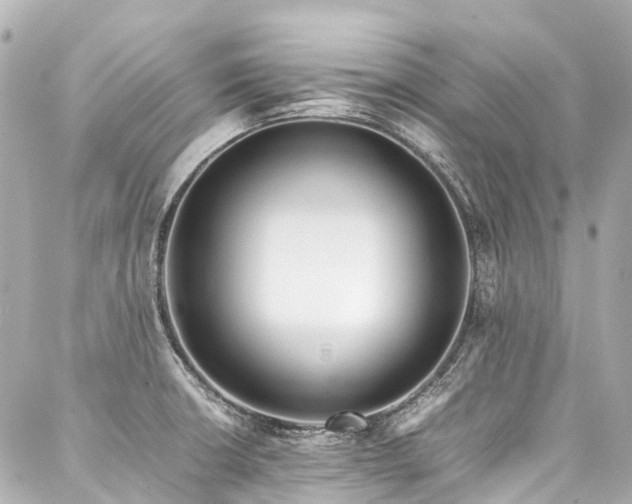 X0000088051426200705111255