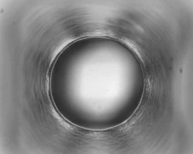 X0000088051476200705111254