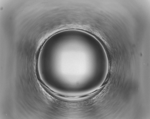 X0000088051508200705111254