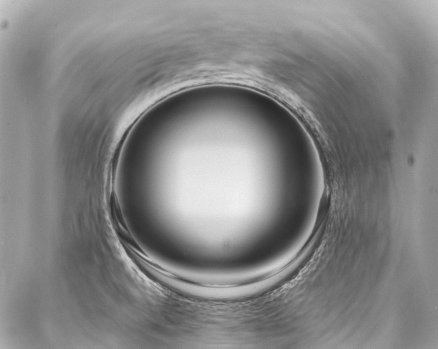 X0000088051520200705111254