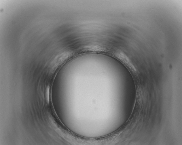X0000088050014200705182127