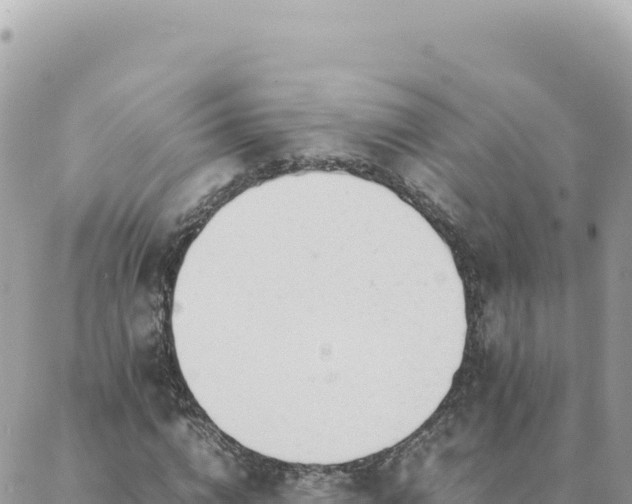 X0000088050824200705182113