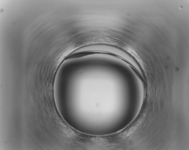 X0000088051089200705182109