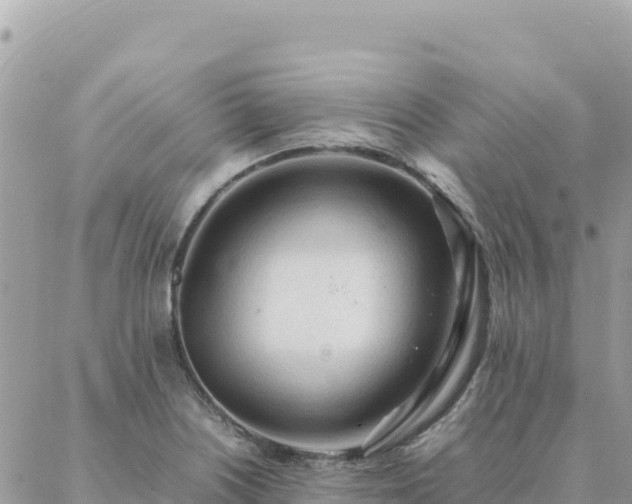 X0000088051226200705182107
