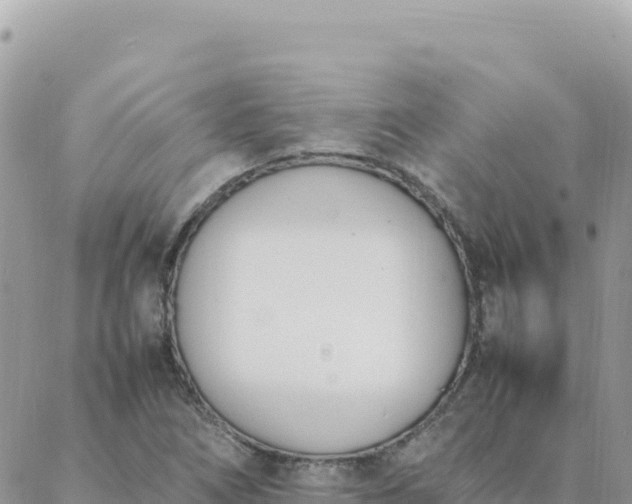 X0000088051266200705182106