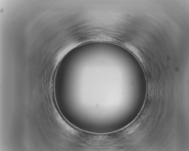 X0000088051387200705182104