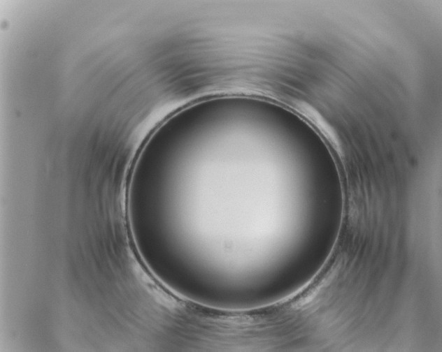 X0000088051388200705182104