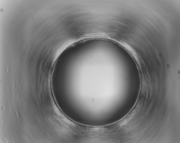 X0000088051390200705182104