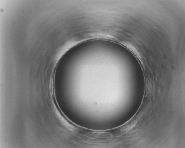 X0000088051391200705182104