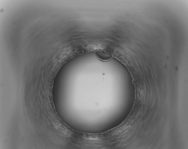 X0000088051393200705182104