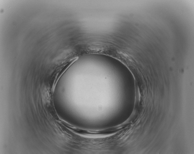 X0000088051394200705182104