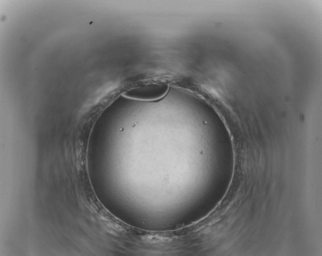 X0000088051399200705182104