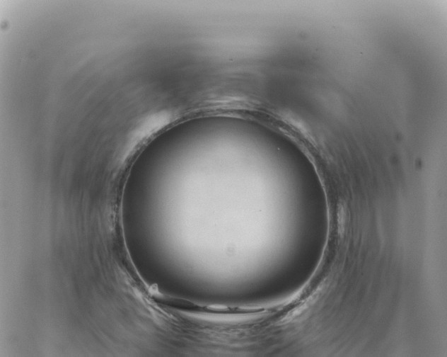 X0000088051405200705182104