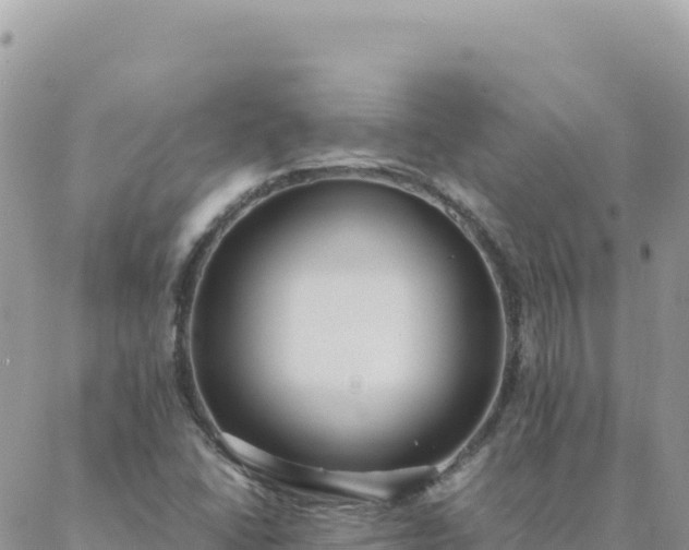 X0000088051406200705182104