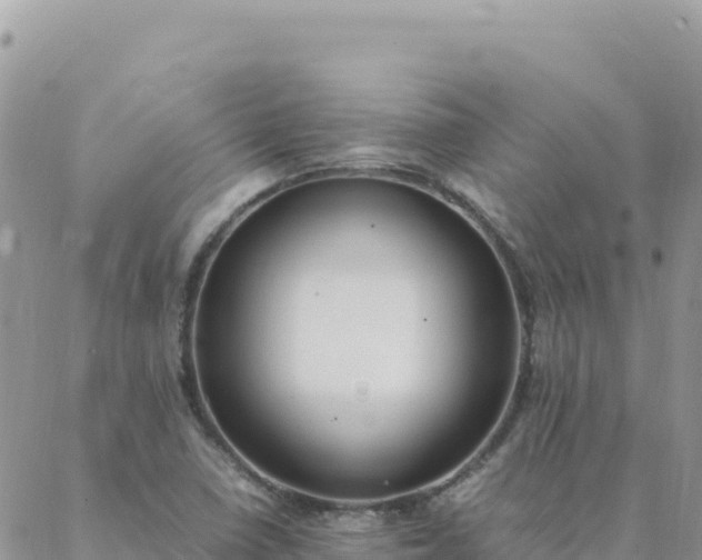 X0000088051410200705182104