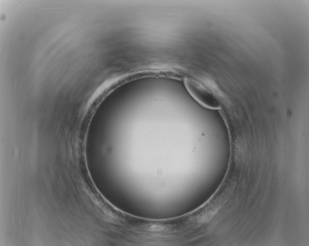 X0000088051412200705182104