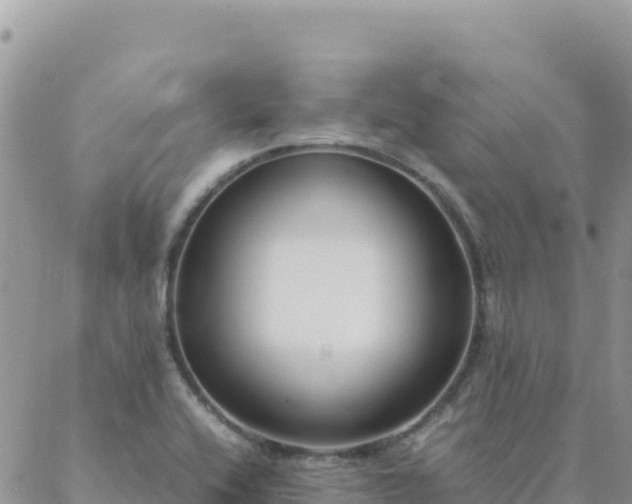 X0000088051416200705182104