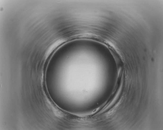 X0000088051418200705182104