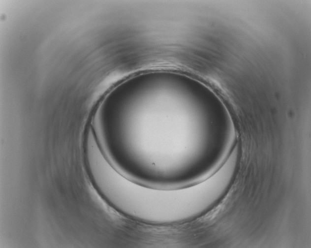 X0000088051422200705182104