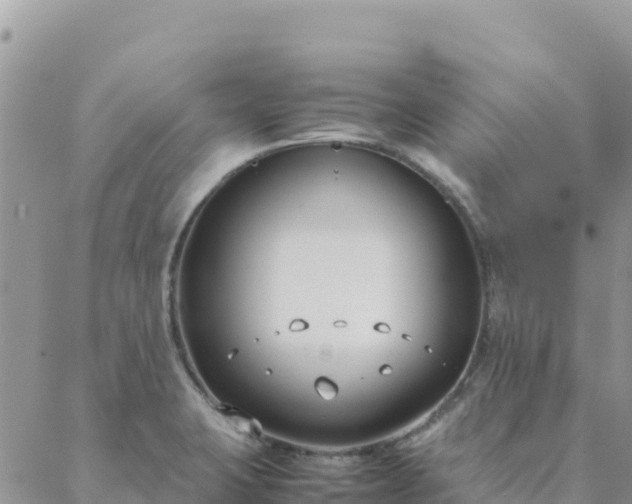 X0000088051423200705182104