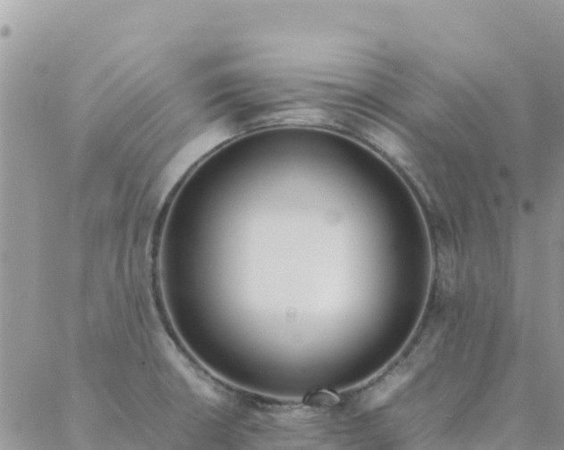 X0000088051426200705182104