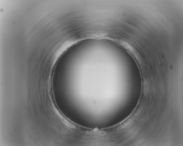 X0000088051432200705182104