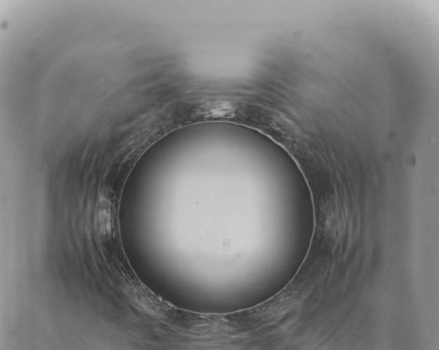 X0000088051442200705182104