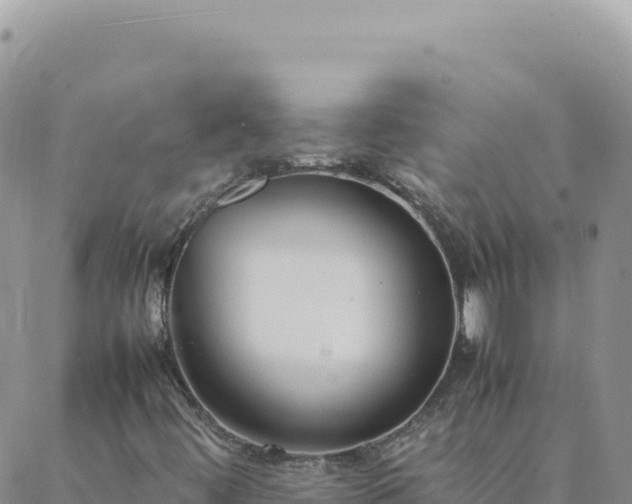 X0000088051444200705182104