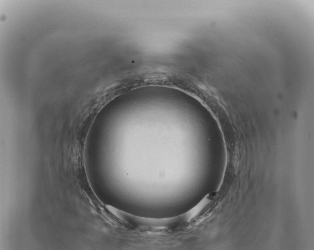 X0000088051445200705182104