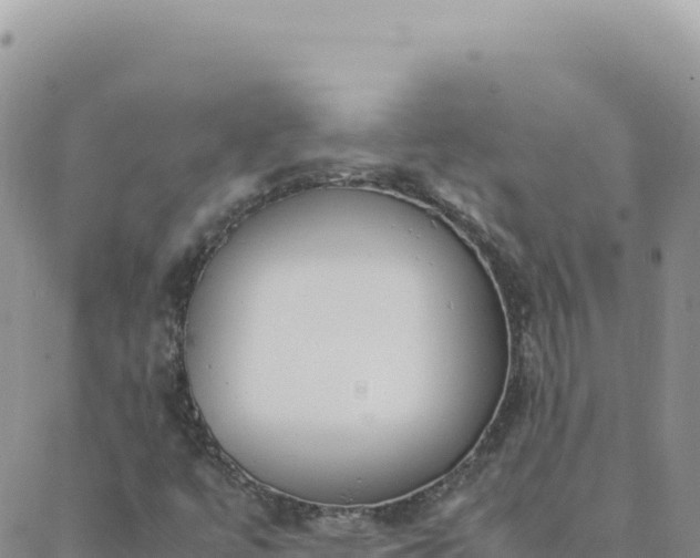 X0000088051447200705182104