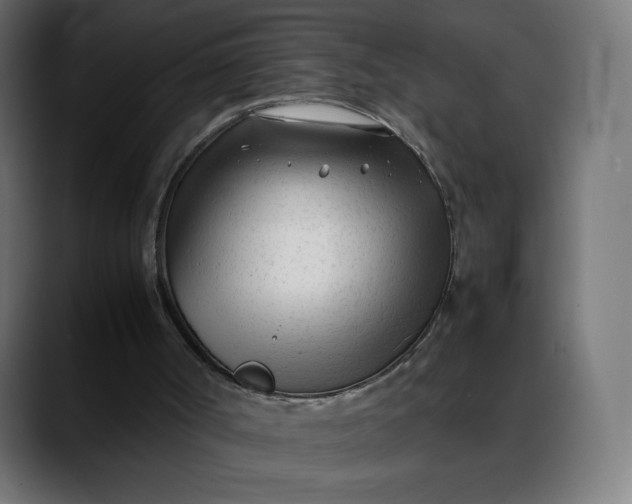X0000088050002200705251332