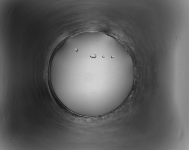 X0000088050003200705251332