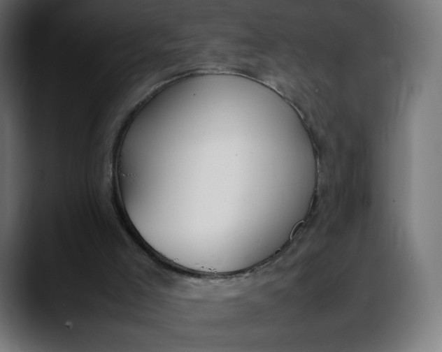 X0000088050005200705251331