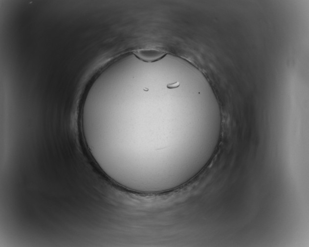 X0000088050006200705251331